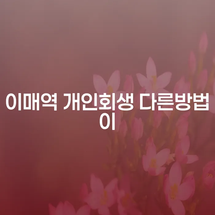 이매역 개인회생 다른방법이