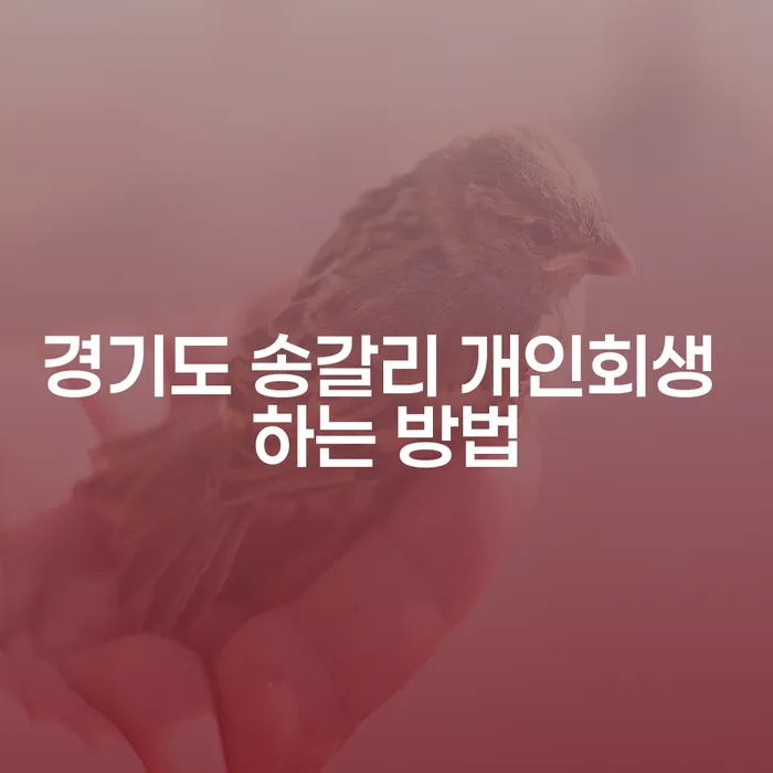 경기도 송갈리에서 개인회생을 신청하는 방법은 무엇일까요?